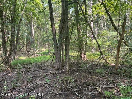 5 Gayhead Earlton Rd, Earlton, NY, 12058 | Card Image