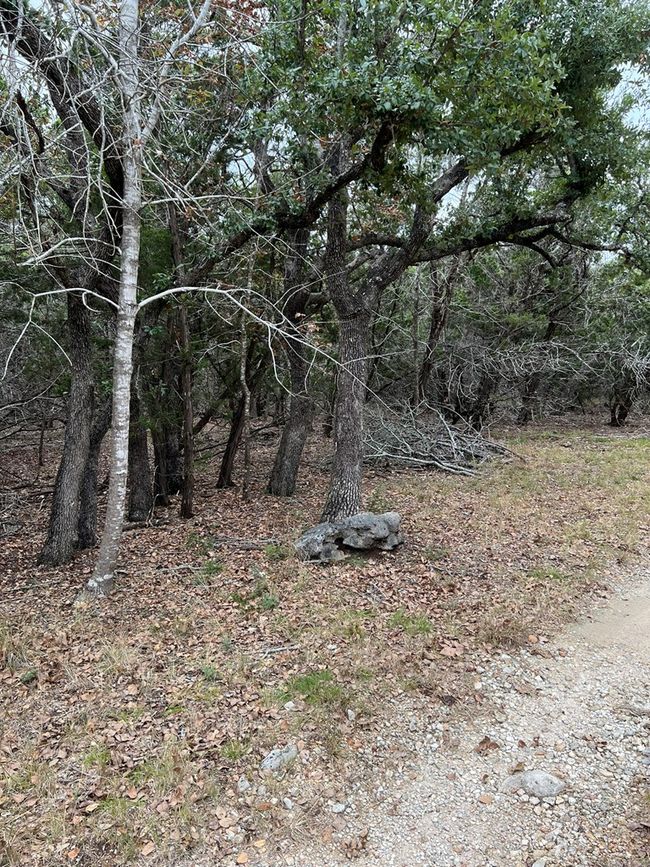 29 - 396 High Forest Dr, Home with 0 bedrooms, 0 bathrooms and null parking in Blanco TX | Image 6