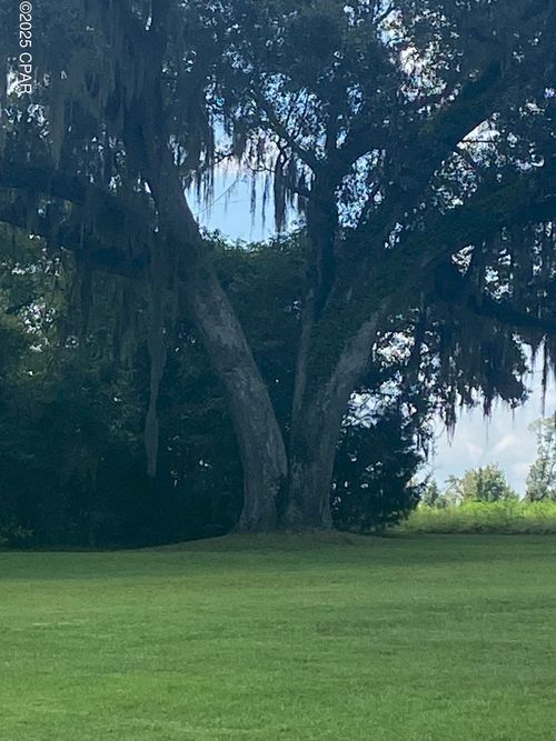 1386 Parker Rd, Grand Ridge, FL, 32442-3724 | Card Image