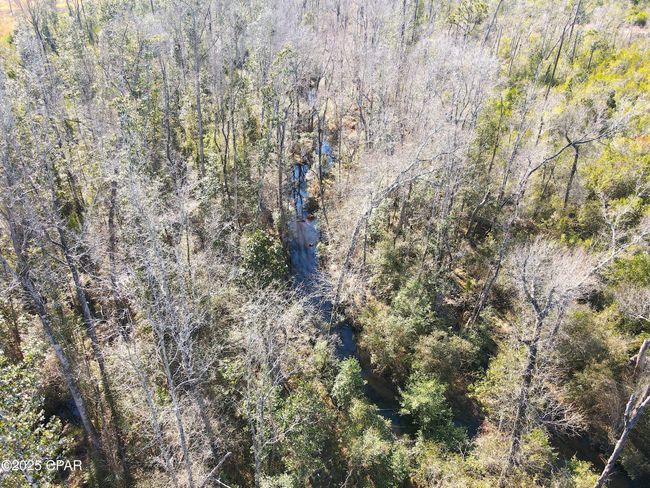 0 John F Bailey Rd, Home with 0 bedrooms, 0 bathrooms and null parking in Blountstown FL | Image 8