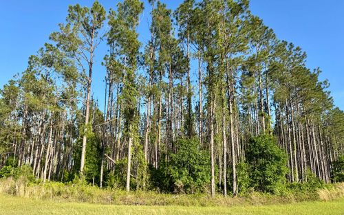 000 Nw 50th Ln, Jennings, FL, 32053 | Card Image