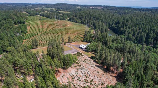 Aerial shot of lands surrounding home. | Image 53