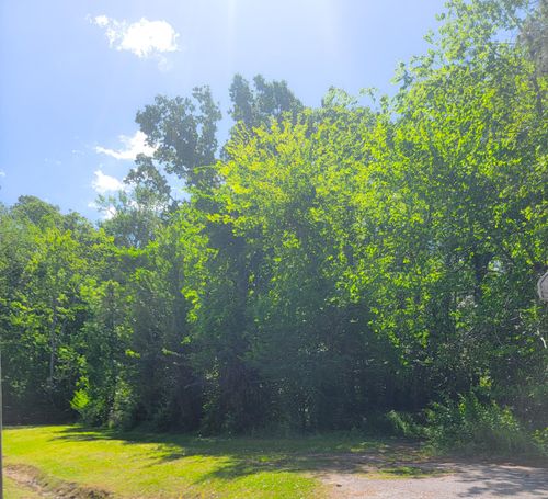 0 Singletary Ave, Moncks Corner, SC, 29461 | Card Image