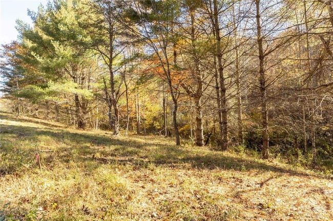 0 Laurel Creek Rd Ne, Home with 0 bedrooms, 0 bathrooms and null parking in Pilot VA | Image 27