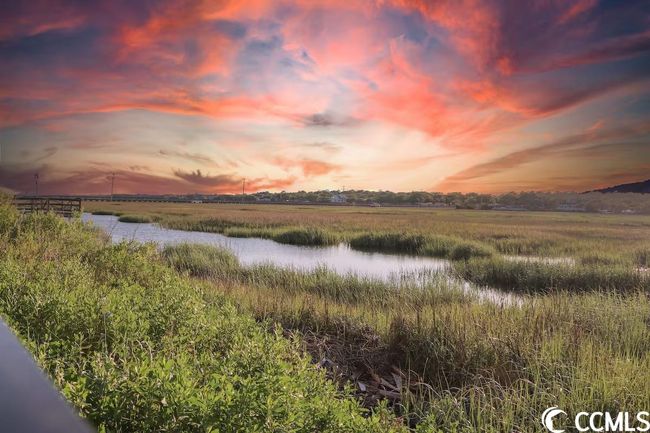 225 Dogwood Dr. N, House semidetached with 5 bedrooms, 6 bathrooms and 7 parking in Murrells Inlet SC | Image 10