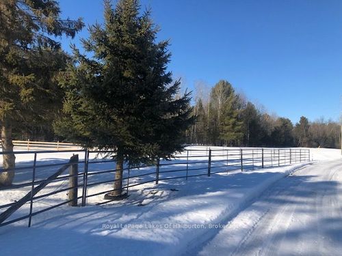 1036 Privet Dr, Minden, ON, K0M2A1 | Card Image