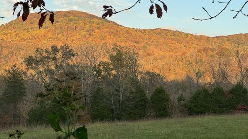 0 Board Valley Road, Cookeville, TN, 38506 | Card Image