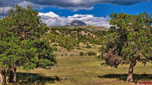 4107 Rd 31, Cahone, CO, 81324 | Card Image