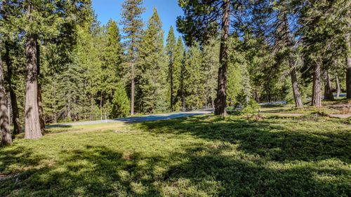 27460 State Highway 88, Pioneer, CA, 95666-9119 | Card Image
