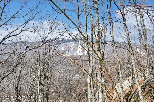 48 Durkin Rd, Home with 0 bedrooms, 0 bathrooms and null parking in North Creek NY | Image 24