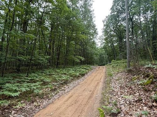 V/L Beechwood Drive, Lyon Township, MI, 48653 | Card Image