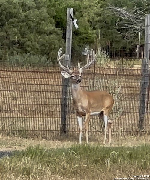 10745 Rosemar Ln, Adkins, TX, 78101-9683 | Card Image