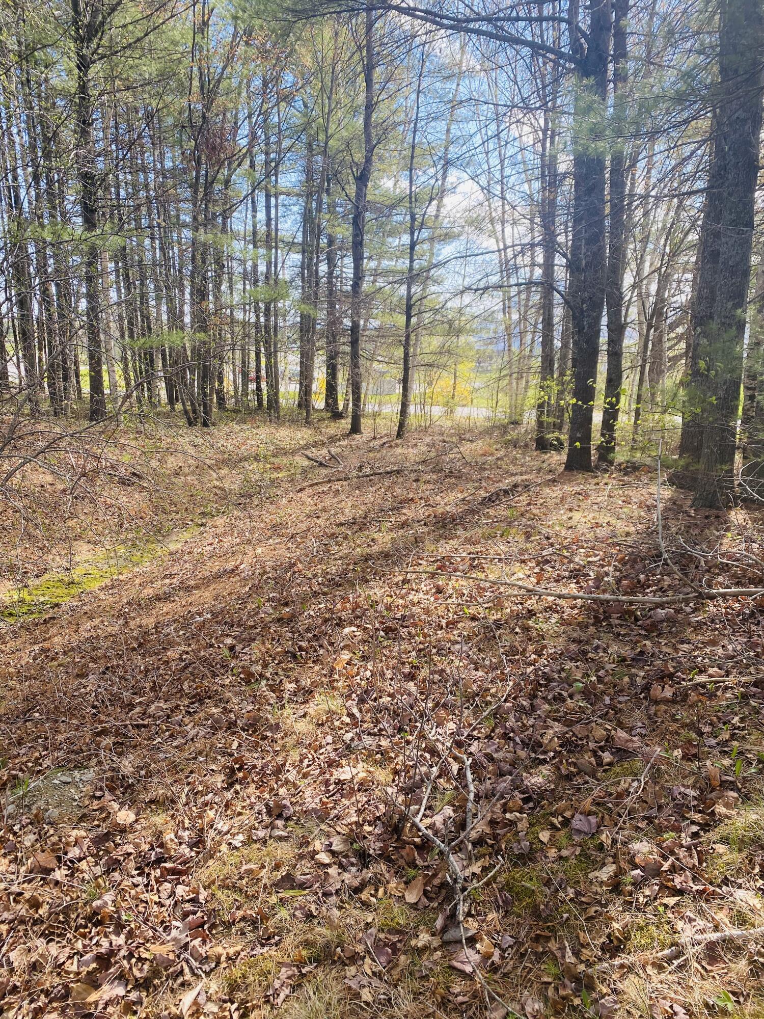 Land in Bangor 3