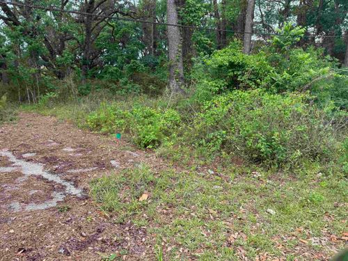 9050 Rice Creek Road, Stockton, AL, 36579 | Card Image