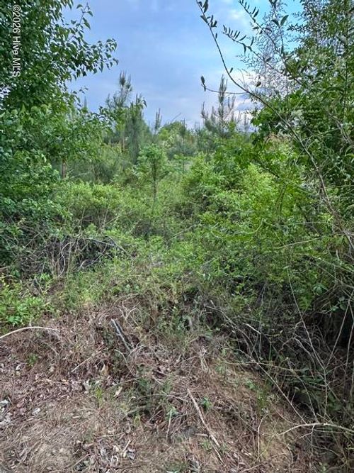 000 Duke Rd, Castalia, NC, 27816 | Card Image