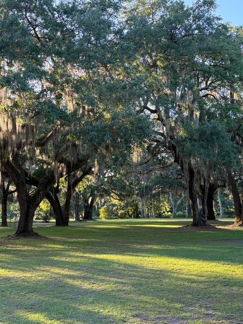 x-2c-4139 Pritchard Green Rd, Mount Pleasant, SC, 29429-5944 | Card Image