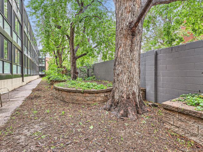 105 - 1050 N Corona St, House attached with 0 bedrooms, 0 bathrooms and null parking in Denver CO | Image 19