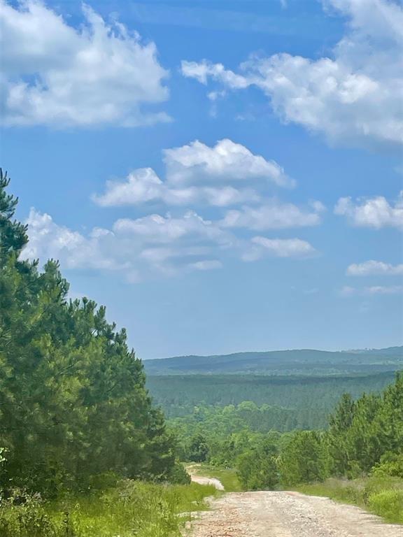 Land in Broken Bow 2