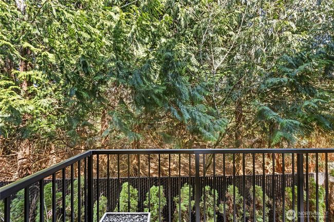 End the day with a drink on the quiet back deck and watch the wildlife go by. | Image 7
