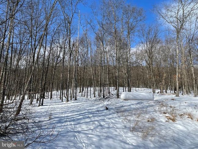 4645 Lower Knobley Rd, House other with 4 bedrooms, 4 bathrooms and null parking in MAYSVILLE WV | Image 11