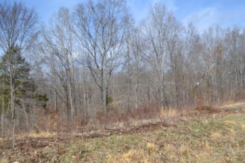 4.13ac Hush Hollow Lane, Baxter, TN, 38544 | Card Image