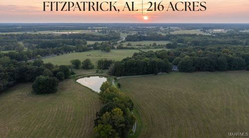 15246 Highway 110, Fitzpatrick, AL, 36029-5003 | Card Image