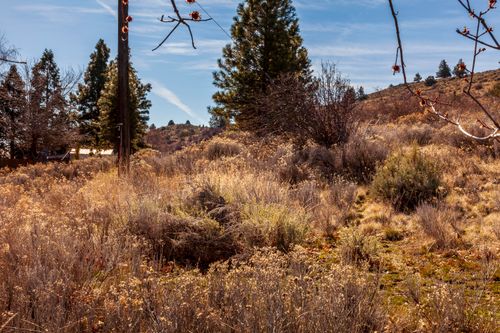 0 N Georgia Avenue, Klamath Falls, OR, 97601 | Card Image