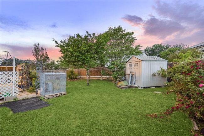 back yard | Image 16