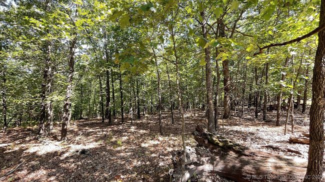 492 Deer Creek Rd, Home with 0 bedrooms, 0 bathrooms and null parking in Kansas OK | Image 4