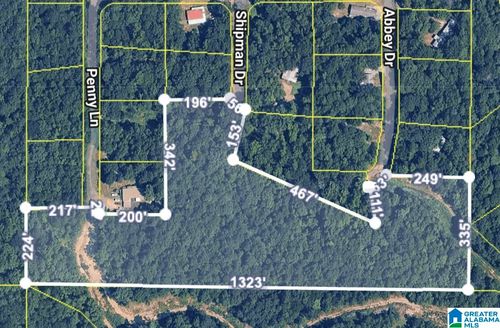 1-0 Abbey Dr, Odenville, AL, 35120 | Card Image