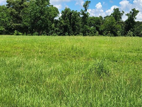 204 Bentwood Pond Trl, Montgomery, TX, 77356-2324 | Card Image