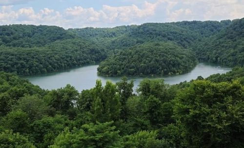 56 Nadia Ln, Smithville, TN, 37166 | Card Image