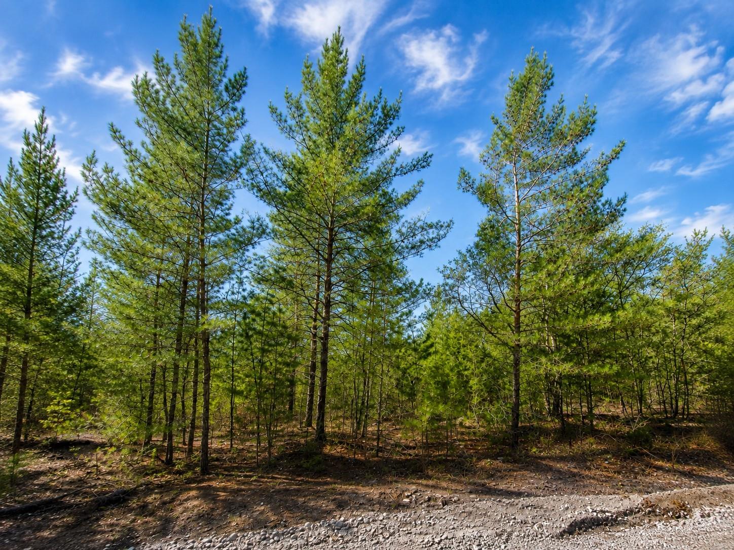 Land in INTERLACHEN