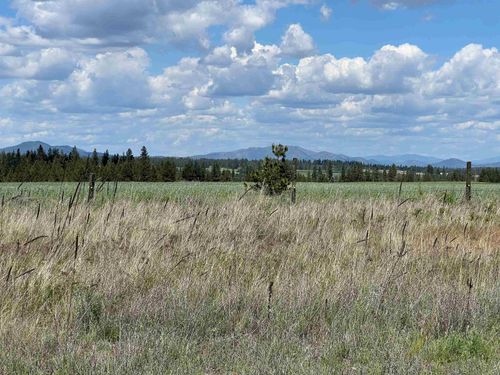 XXX N Wood Rd, Reardan, WA, 99029 | Card Image