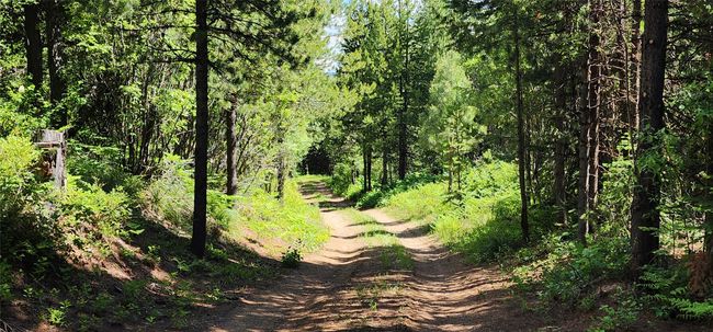 14463 Libby Creek Rd, Home with 0 bedrooms, 0 bathrooms and null parking in Libby MT | Image 9