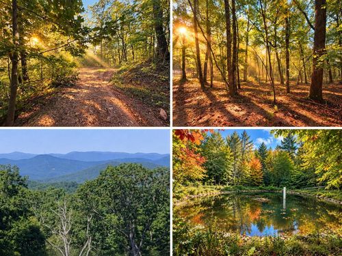 14.06 Old Burnt Mountain Road, Ellijay, GA, 30536 | Card Image