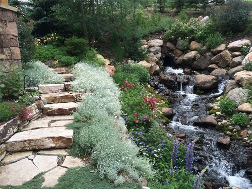 2050 Currant Way, Silverthorne, CO, 80498-5359 | Card Image