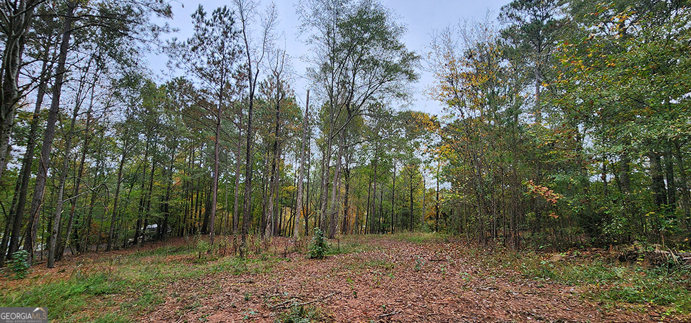 Land in Monticello