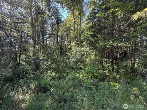 155 XX 62nd Ave Nw, Gig Harbor, WA, 98335 | Card Image