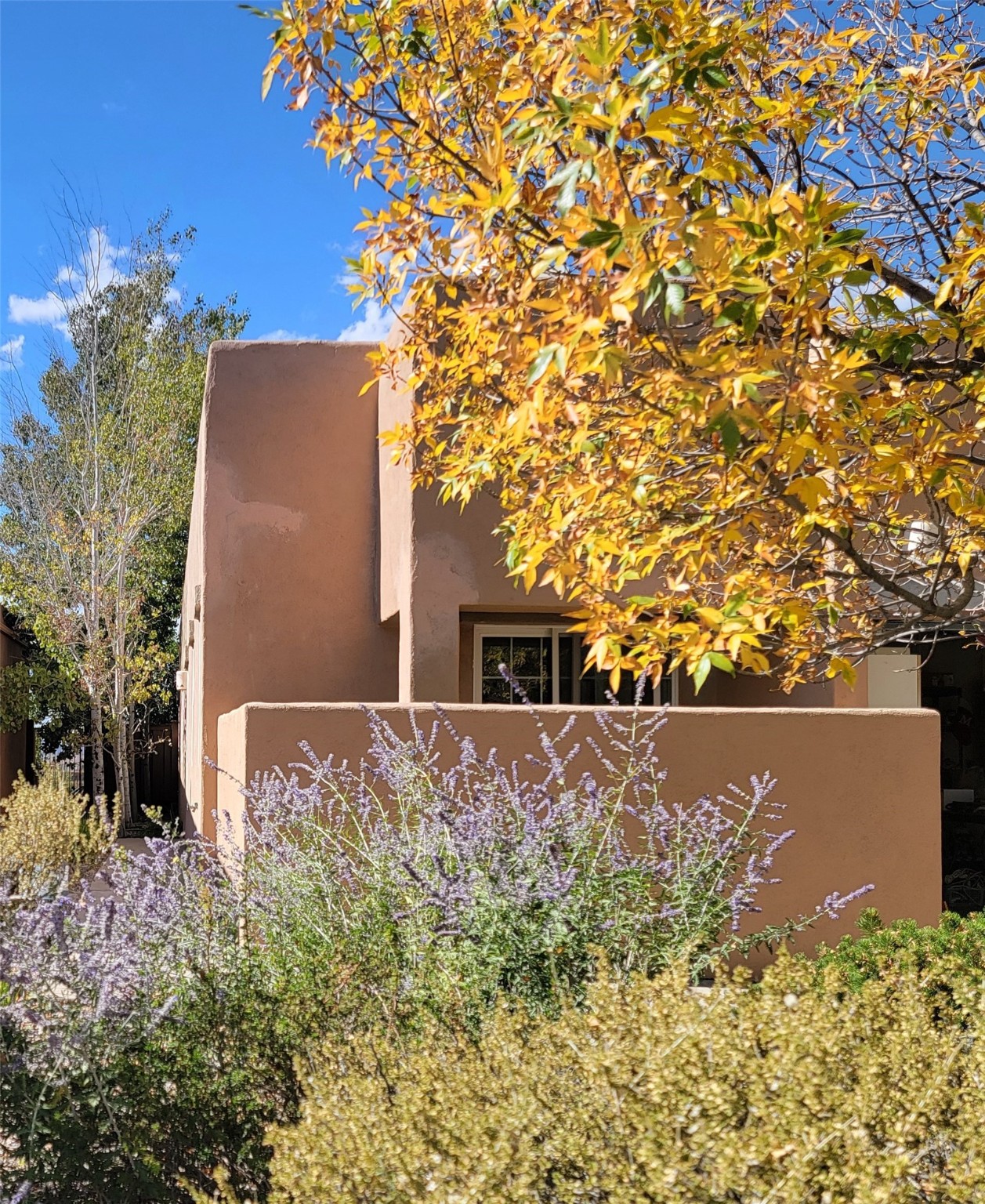 Carson Valley Way, Santa Fe, NM 87508