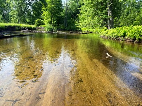 17639 20th Ave, Marion, MI, 49665-8269 | Card Image