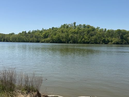 941 Hardin Bottom River Rd, Clifton, TN, 38425 | Card Image