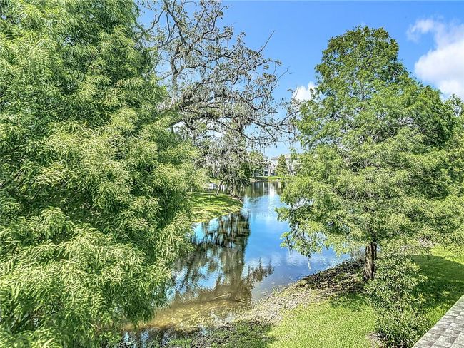 4567 Tuscan Loon Dr, Townhouse with 4 bedrooms, 3 bathrooms and null parking in Tampa FL | Image 55