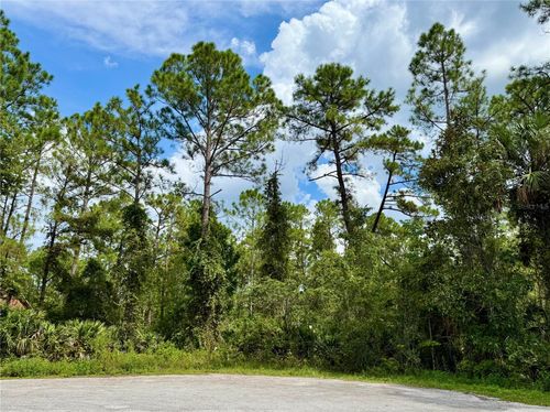 LOT 3 Tamarac St, EUSTIS, FL, 32736 | Card Image