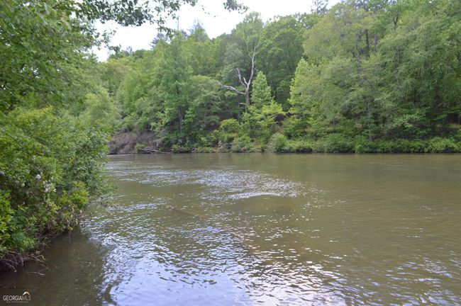 445 White Rapids Dr, House other with 2 bedrooms, 1 bathrooms and 4 parking in Demorest GA | Image 33