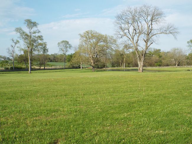 117 Brights Ln, House other with 3 bedrooms, 2 bathrooms and 28 parking in Gallatin TN | Image 36