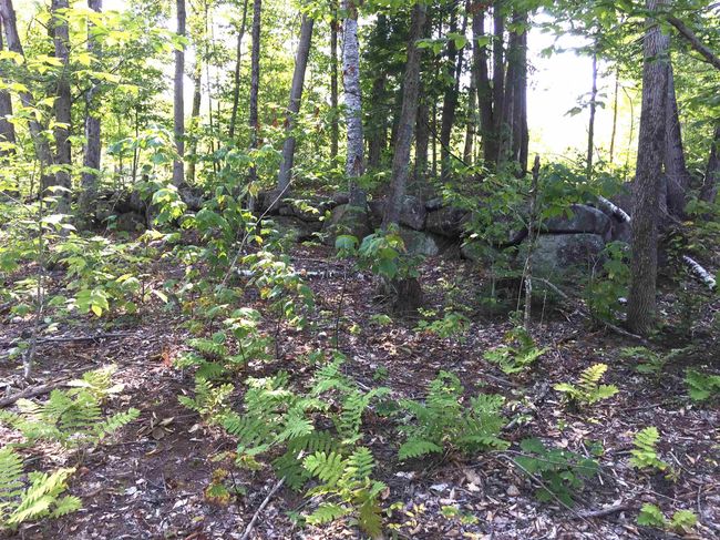 76 Edgerly School Rd, House other with 3 bedrooms, 1 bathrooms and null parking in Meredith NH | Image 13