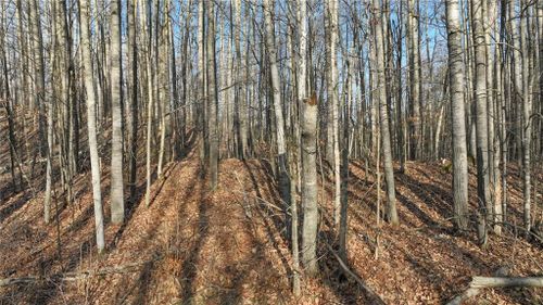 N2383 Loons Landing Rd, Weyerhaeuser, WI, 54895-8703 | Card Image