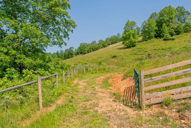 688 Gibson Knob Rd, Home with 0 bedrooms, 0 bathrooms and null parking in Laurel Fork VA | Image 89
