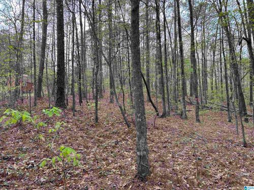 12-Lot 12 Circle Drive, LAKEVIEW, AL, 35111 | Card Image